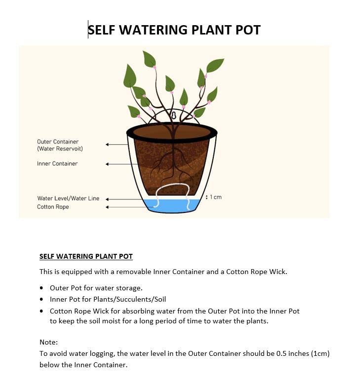 ShoppeWatch Wall Planters for Indoor Plants 7 Pack | Hanging Planters Large 7 Inch with Hooks | Wall Pots for Plants | 7.28 x 6.1 inches - PL35 - Image 5